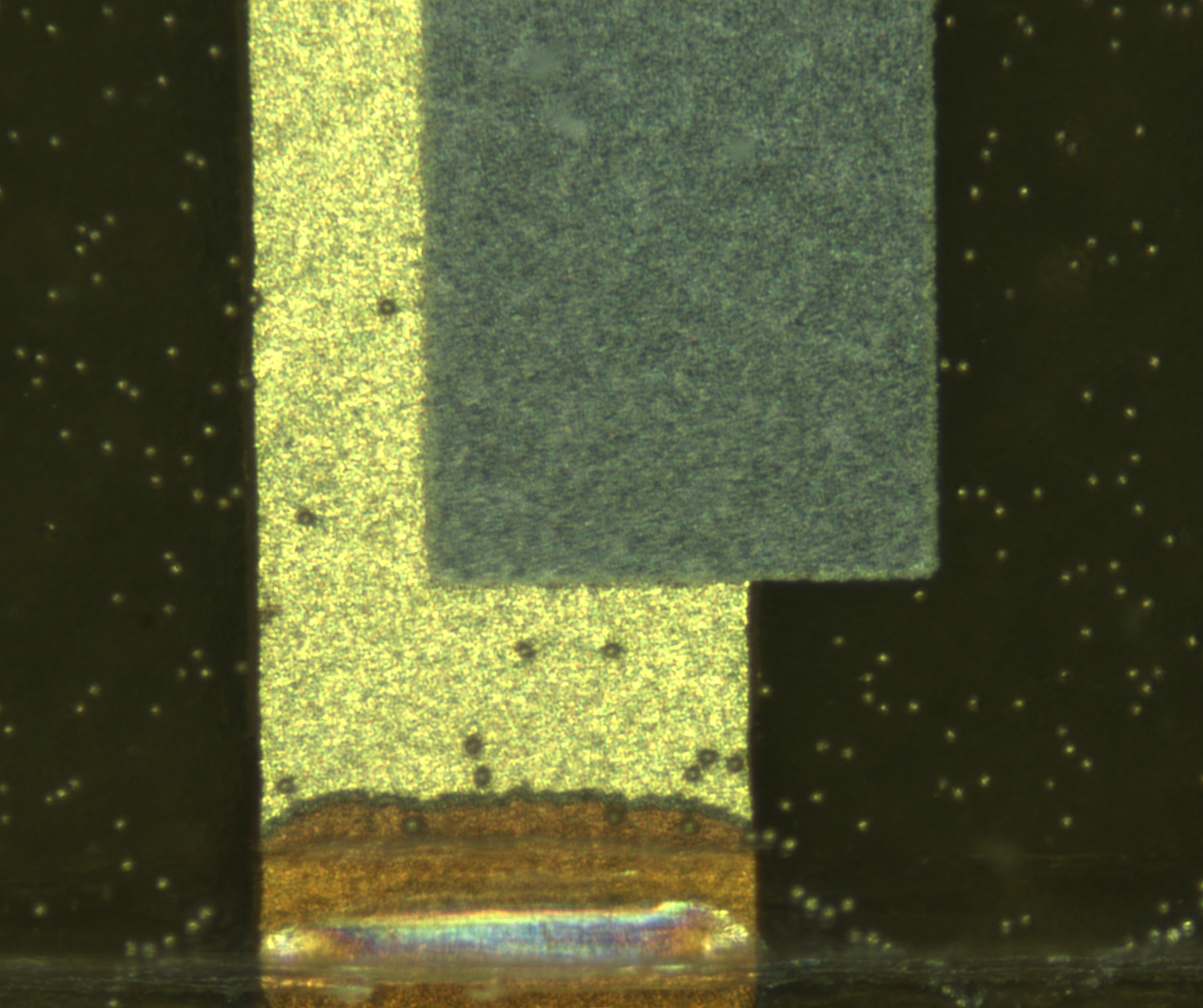 image-20211208100213-1