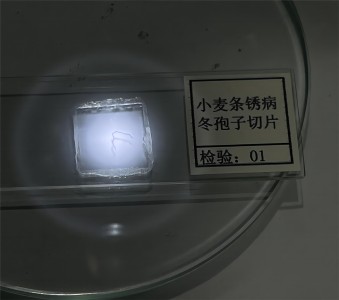 6a5fb0e4-8209-4c58-8c08-cd8fb975605e BC.Game(中国)有限公司-官方网站