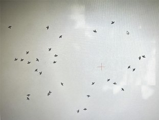 2 BC.Game(中国)有限公司-官方网站