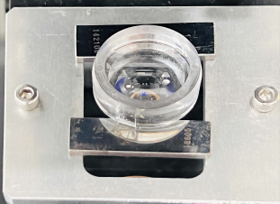 BC.Game(中国)有限公司-官方网站