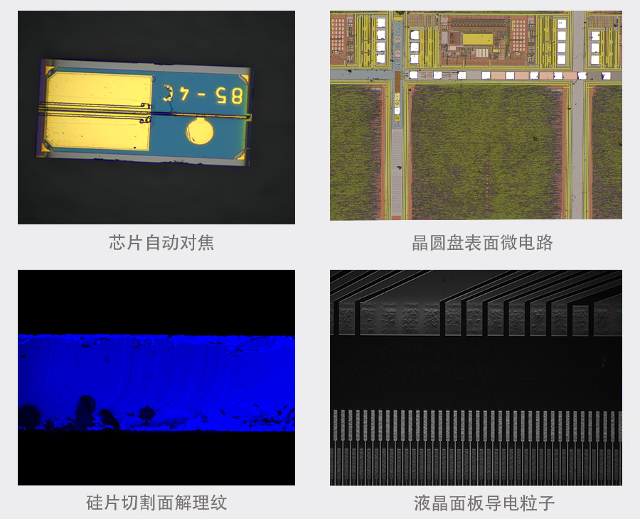BC.Game(中国)有限公司-官方网站